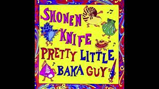 Watch Shonen Knife Public Bath video