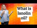 What is lanolin oil?