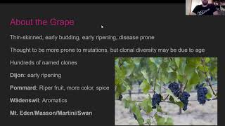 Disgorged: Online - Pinot Noir