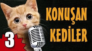 Konuşan Kediler 3 - En Komik Kedi ları