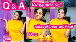 Q&A Answering Your Questions සහල Vlog Hashini Hashi