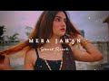 Mera Jahan Jo Tera Hua (Slowed Reverb) Gajendra Verma| Slofi