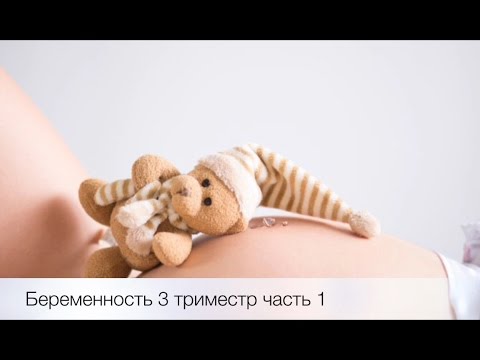 Имбирь при беременности во втором триместре беременности