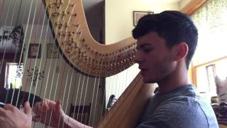Watch Joanna Newsom A Pinlight Bent video