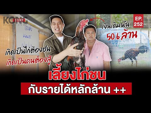 เลี้ยงไก่ชน กับรายได้หลักล้าน l Kong Story EP.252