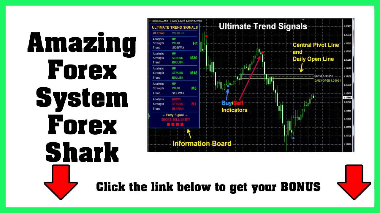 Forex news gun review
