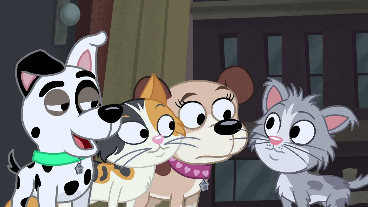 pound puppies and kittens pound puppies hello kitten pound puppies and kittens pound puppies hello kitten