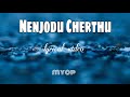 Nenjodu Cherthu_(Lyrical) Video