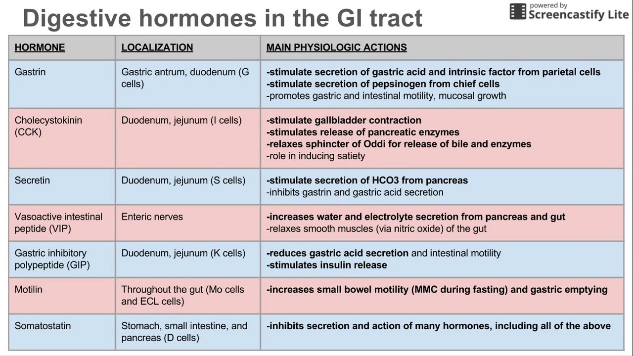 Gastrointestinal vacation sodomite compilations