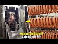 Proses Pembuatan Sosis Babi !! Pabrik Sosis Dari Penyetruman Babi Hingga Menjadi Sosis Babi