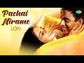 Pachai Nirame - Lofi | Alaipayuthey | Madhavan, Shalini | A R Rahman | Mani Ratnam