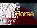 War Horse coming to Omaha's Orpheum April 8-13, 2014