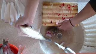 Trakonya balığı temizleme