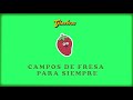 Campos De Fresas Para Siempre Video preview