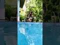 Actress surekhavani in swimming pool boobs free show ||