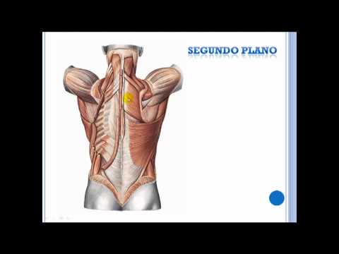 El dolor agudo en matke que da en los riñones