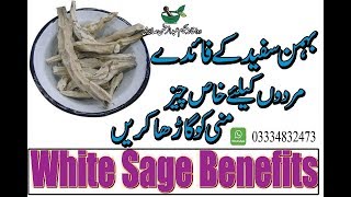 Behman Safed Ke Fayde -Mani Ghari Karne Ke Liye White Sage Benefits