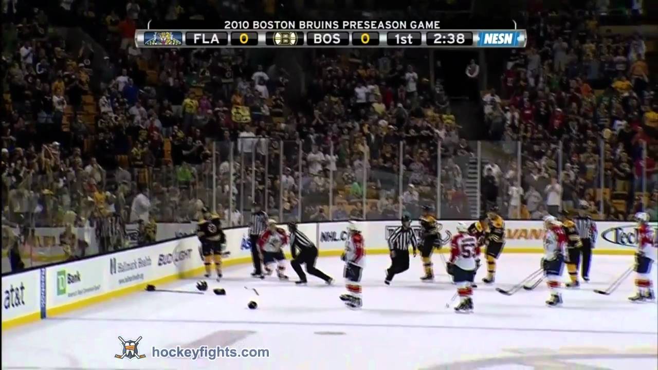 Lucic Hit through Glass