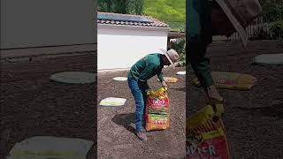 Como Preparar La Tierra De Tu Jardín Para Nuevo Pasto