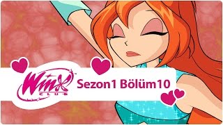 Winx Club - Sezon 1 Bölüm 10 - Domino