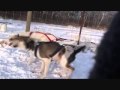Sleddog Racing / Team CanaDog 2010 default Sleddog Racing / Team CanaDog 2010