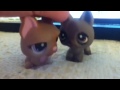 lps katy perry sings
