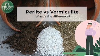 Perlite Vs Vermiculite Why And When To Use ?