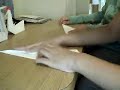 2 - How To Make An Origami Swan!