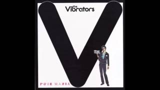 Watch Vibrators I Dont Need It video