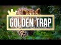 David Guetta - Showtek Bad (Puresang Festival Trap Mix)