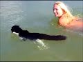 Cat Goes for a Swim in the Sea