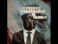 1) LOS PERROS - PANDESOUSA  (Los perros gobernaran el mundo)