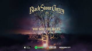 Watch Black Stone Cherry You Got The Blues video