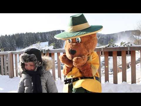 Youtube Vorschau Youtube Vorschau