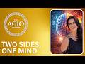 The 2 brain hemispheres