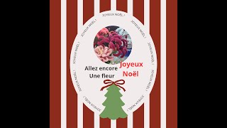 Wahou