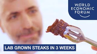 Video: Food Crisis: Lab-grown Steaks ready to replace Animal Meat - World Economic Forum
