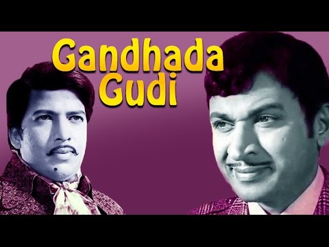 Gandhada Gudi 1973: Full Kannada Movie