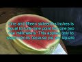 How to Eat a Watermelon Tutorial Tom Willett