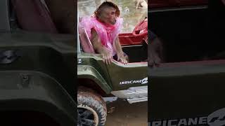 Abu Impatiently Drove To Find His Mother