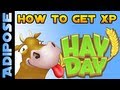 Hay Day- Beginners Guide to XP and Levelling Up!