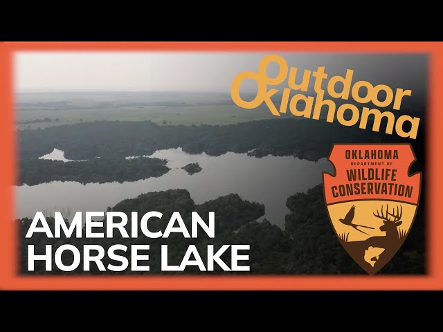 Watch American Horse Lake on YouTube.