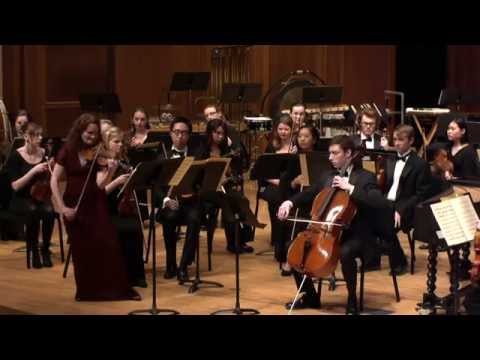 Lawrence Symphony Orchestra - January 31, 2015