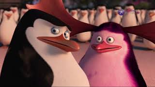 Важна Не Внешность, Главное Твои Поступки. Пингвины Мадагаскара / Penguins Of Madagascar
