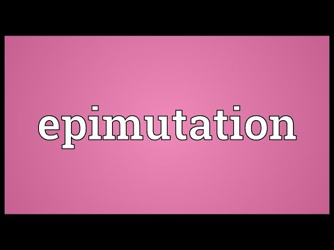 Header of Epimutation