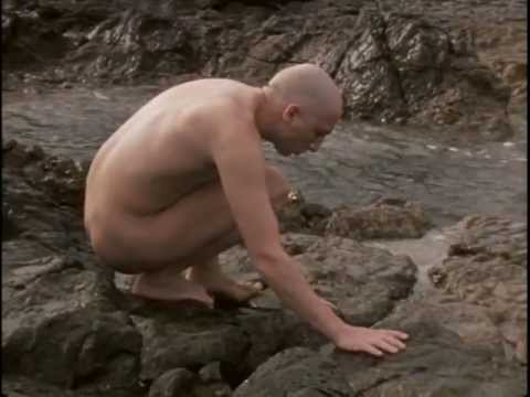 Island (Full version)