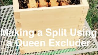 Split Without Finding The Queen