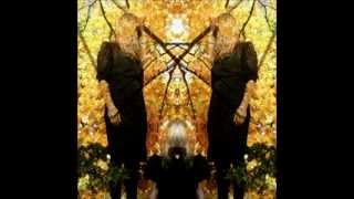 Watch Austra Energy video