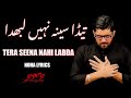 Tera Seena Nahi Labda | Mir Hasan Mir | Lyrics Noha | Bibi Sakina s.a