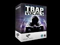 Damn Son! Trap Vocal Samples, Trap Vocal Loops & Royalty Free Trap Vocals